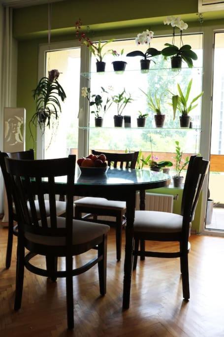 Beautiful Flat In Central Location By Flat Mаnager Sofia Exterior foto